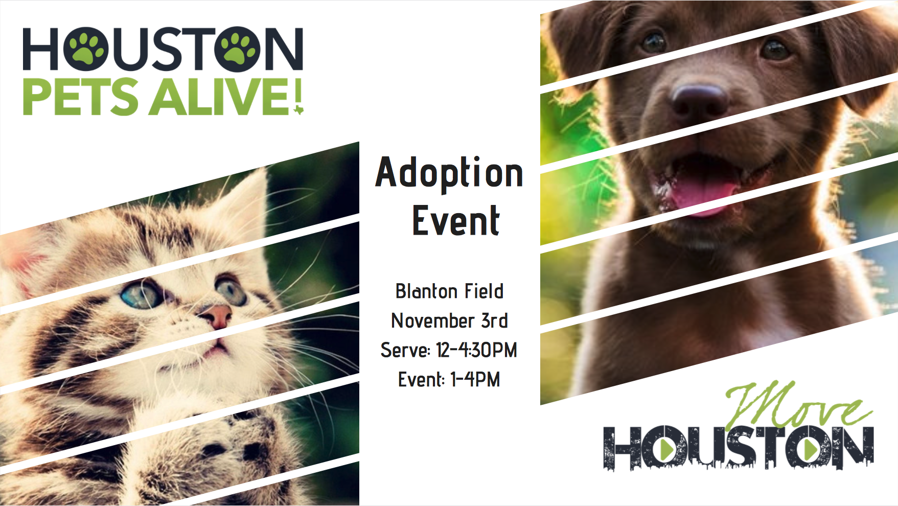 Houston Pets Alive!